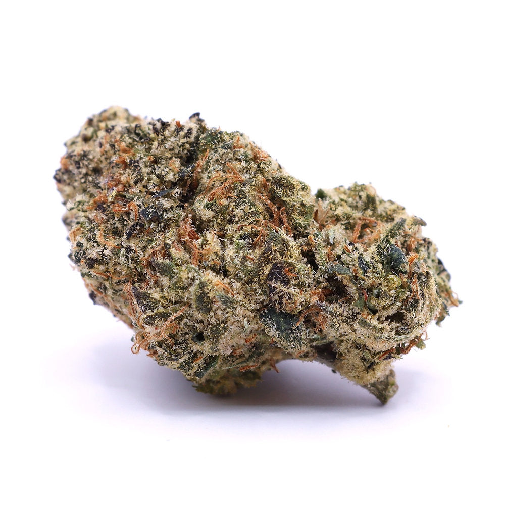 Watermelon Gelato (hybrid)