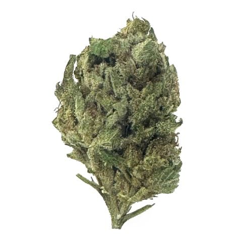 WHITE TAHOE COOKIES (indica)