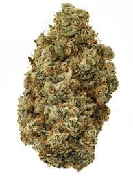 POP CANDY (Hybrid)