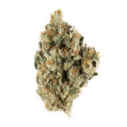 Auto Bahn (Indica)