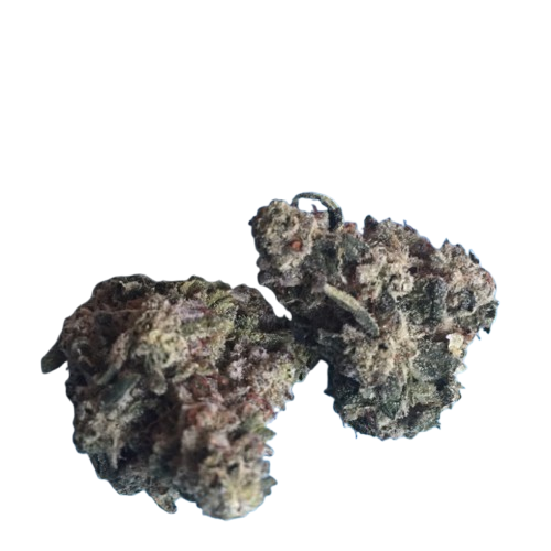 Blue Fanta Exotic Smalls (Indica)