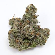 Capital Haze (Sativa)