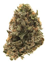 Chronic Kush (Hybrid)