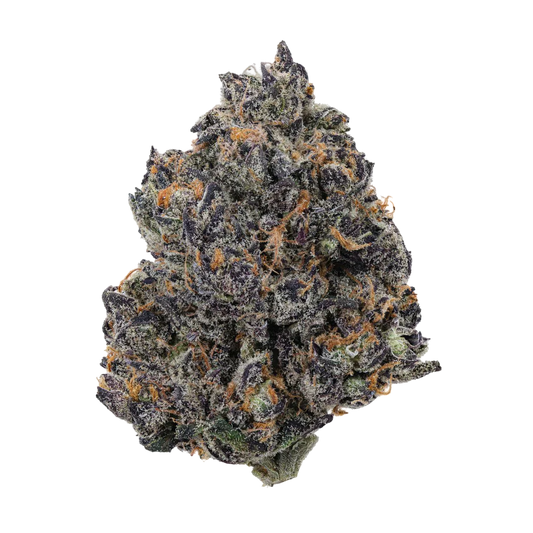 Forbidden Tropic(hybrid)