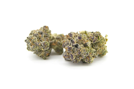 Gelato 33 (Hybrid)