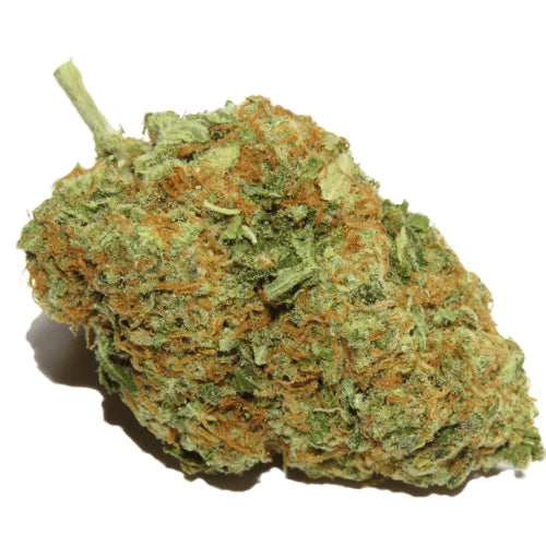 Hawaiian Herer (sativa)