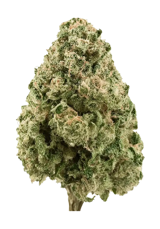 GSC  (hybrid)