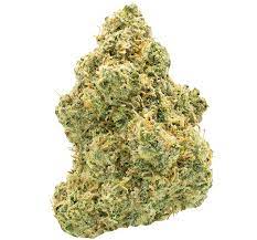 Hash Papi (Hybrid)