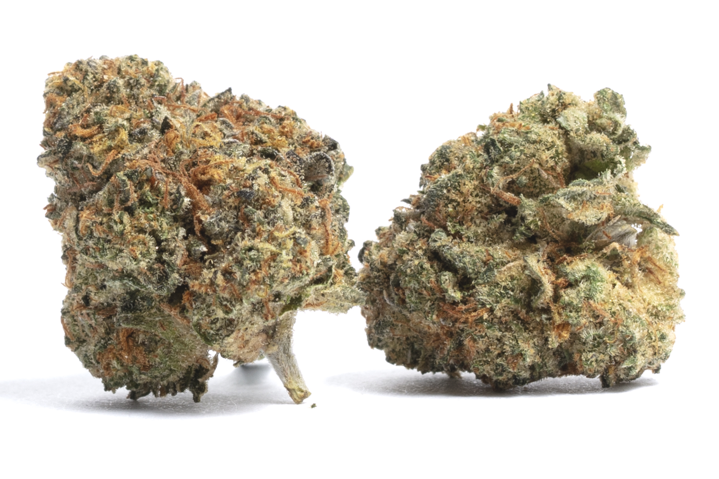 Watermelon Runtz (indica)