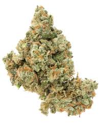 Jack The Ripper (Sativa)