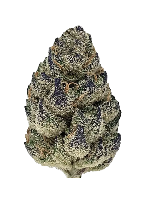 Krypto Kush (Indica)