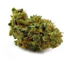 Lemon Jack (Sativa)