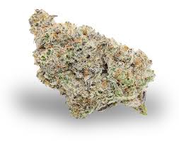Mac 1 (Hybrid)