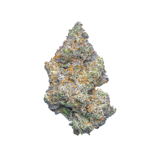Critical Mass (indica)