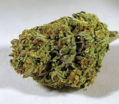 Monster Cookie (Indica)