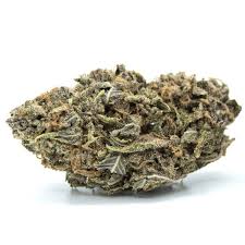 Monster Cookies (Hybrid)