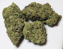 Oreoz (indica)