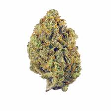 Blue Faygo (Hybrid)
