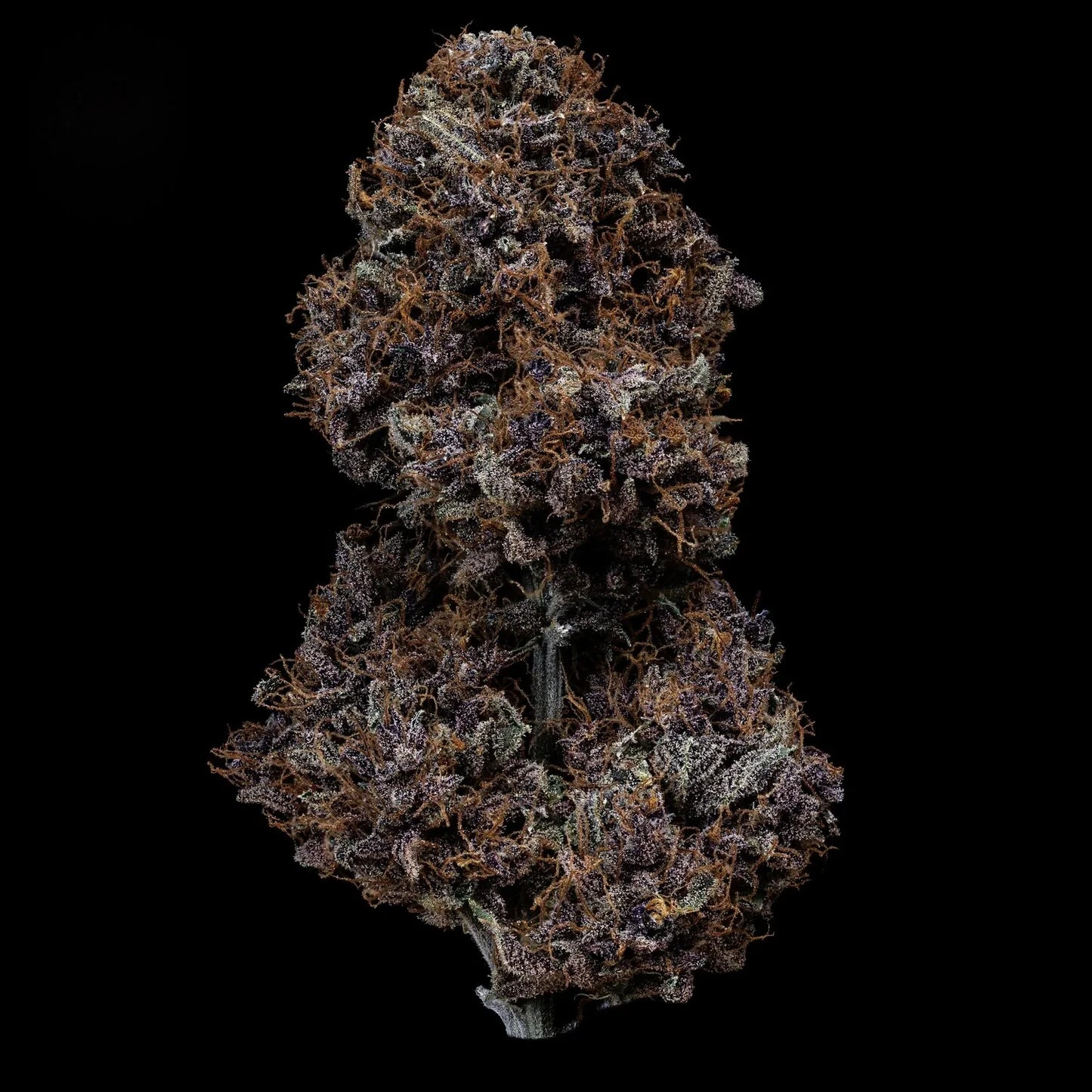 Permanent Marker (Indica)