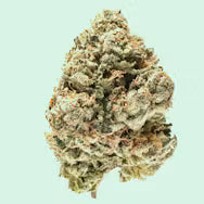 PINEAPPLE LIMEADE (sativa)
