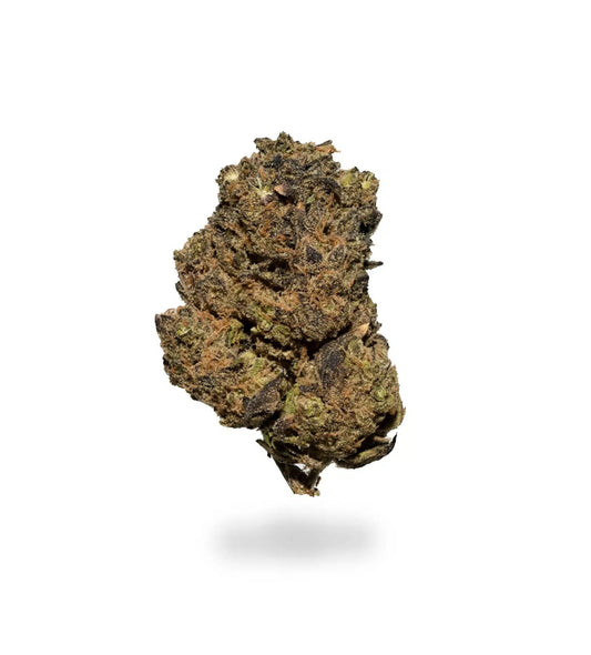 Gelato #33(Hybrid)