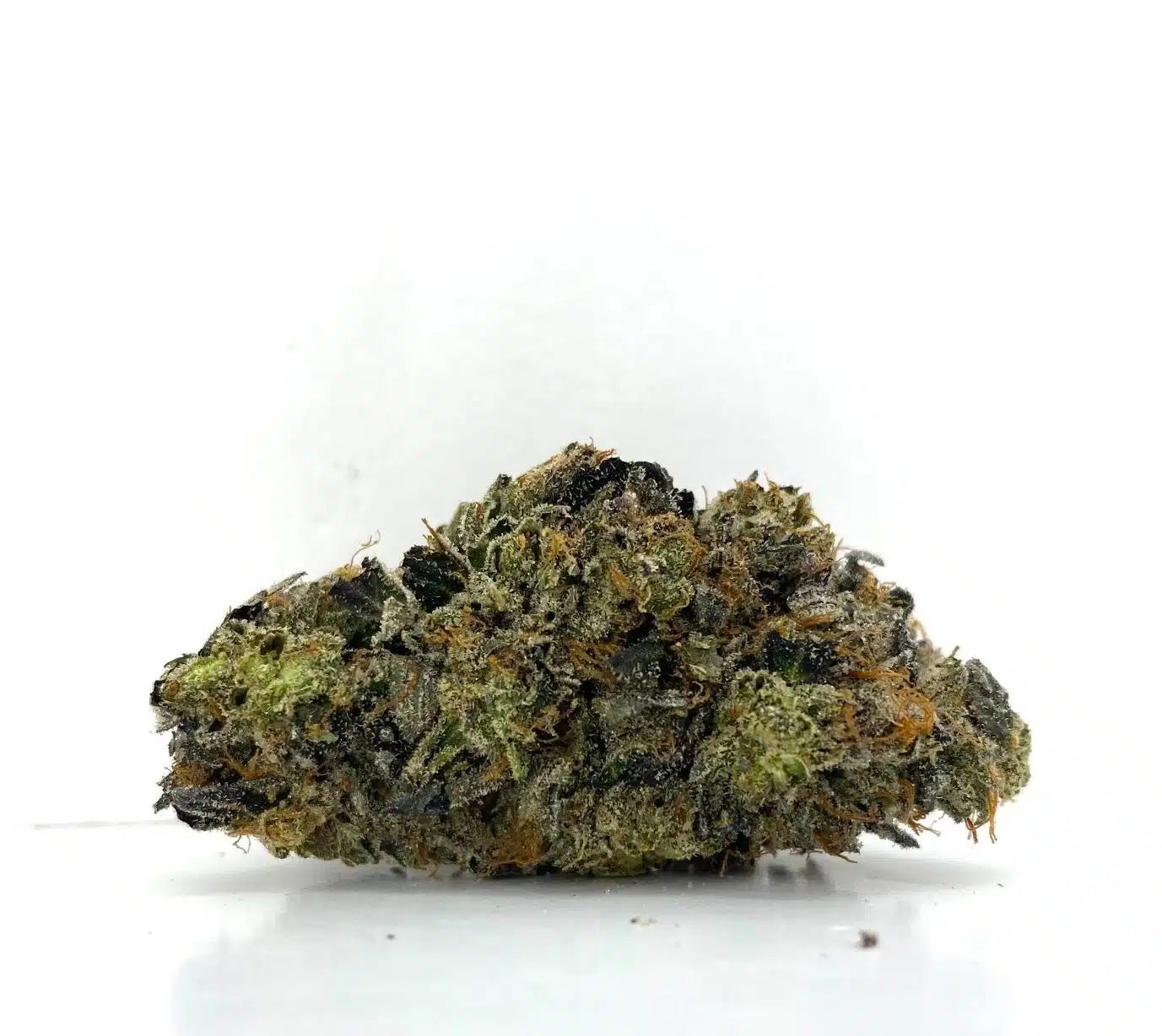 Plat. Punch (Hybrid)