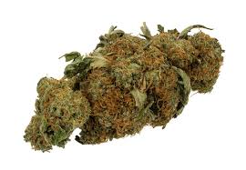 Purple OG Kush (Indica)