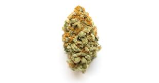 Push Pop (Hybrid)