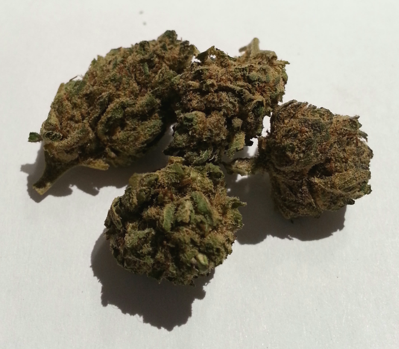 TROPICAL RED (sativa)