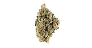 AMARELO (sativa)