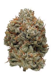 Superglue (Hybrid)